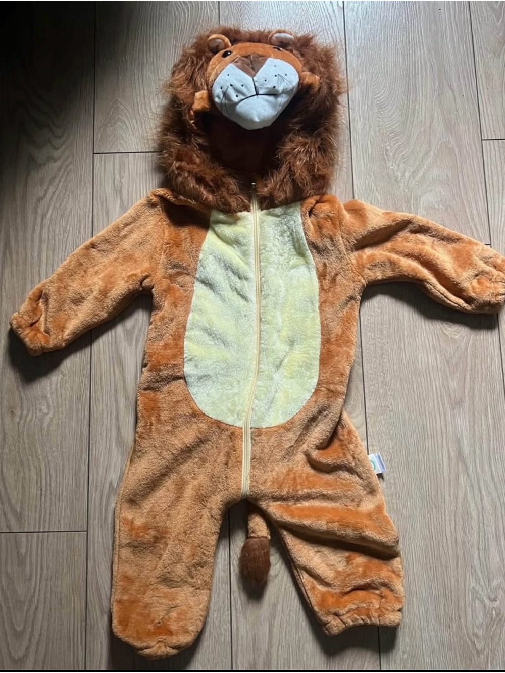 Lion Halloween Costume